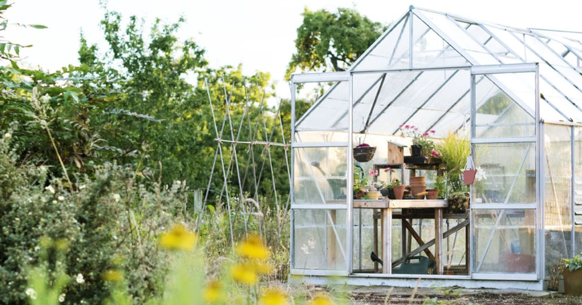 serre de jardin