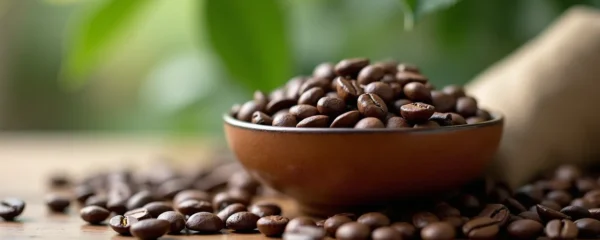 Grains de café décaféiné dans un cadre naturel mettant en valeur la texture et la qualité